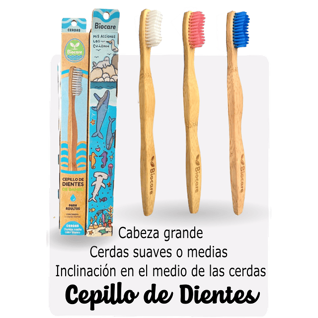 CEPILLO DE DIENTES  