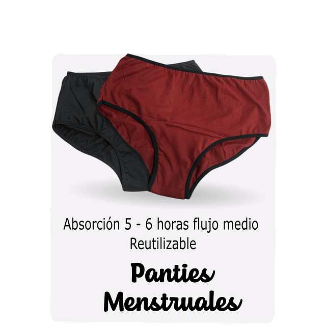 PANTIES MENSTRUALES 