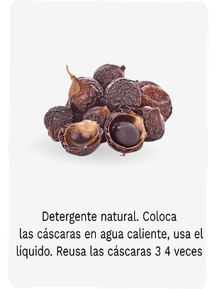 SOAPNUTS CASCARA detergente 