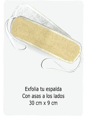 ESTROPAJO ESPALDA 