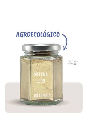 Hongo Melena de león (Agroecológica)