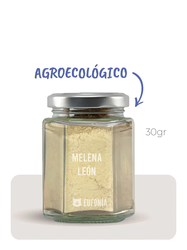 Hongo Melena de león (Agroecológica) 1