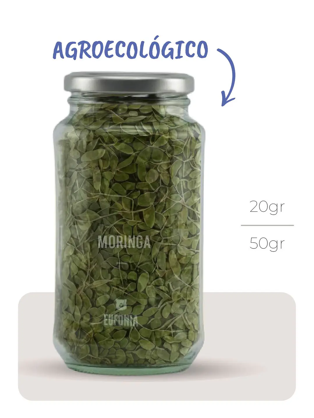 Moringa (Agroecológica)  1