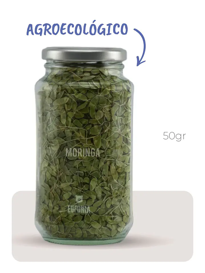 Moringa (Agroecológica)  3