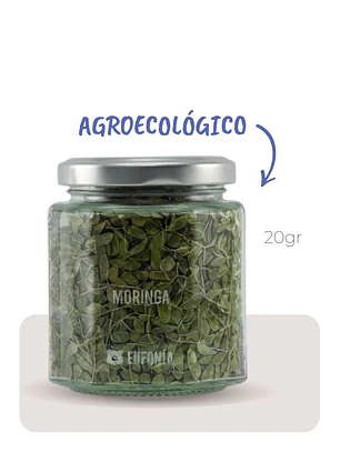 Moringa (Agroecológica) 
