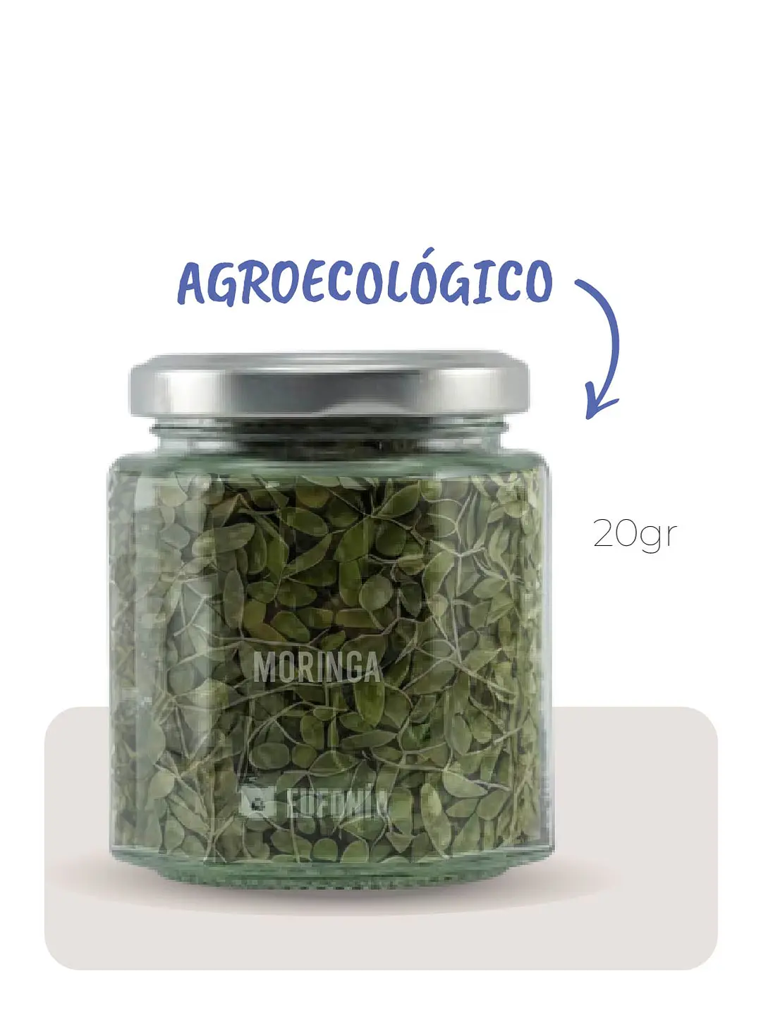 Moringa (Agroecológica)  2