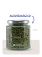 Moringa (Agroecológica)  - Miniatura 2