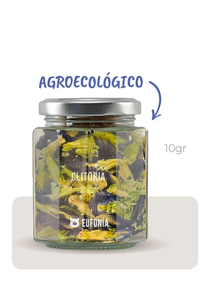 Flor de Clitoria (Agroecológica) 