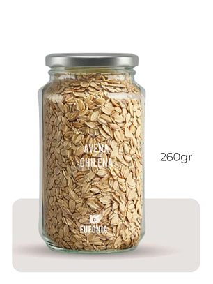 Avena chilena 