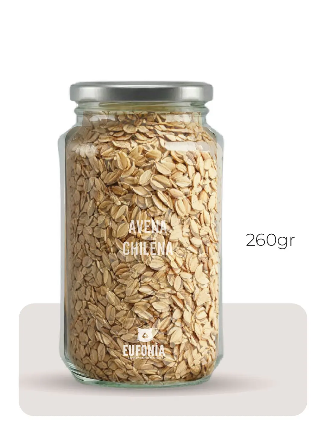 Avena chilena  2