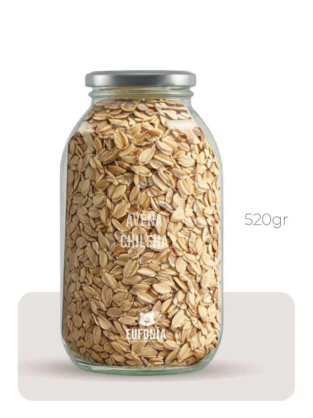 Avena chilena  3