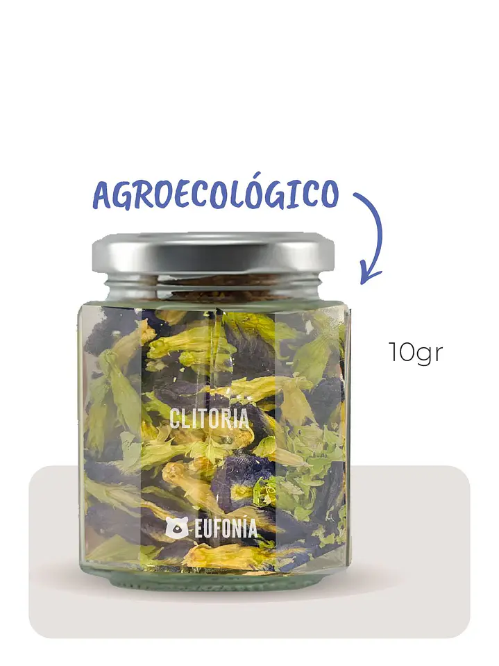 Flor de Clitoria (Agroecológica)  1