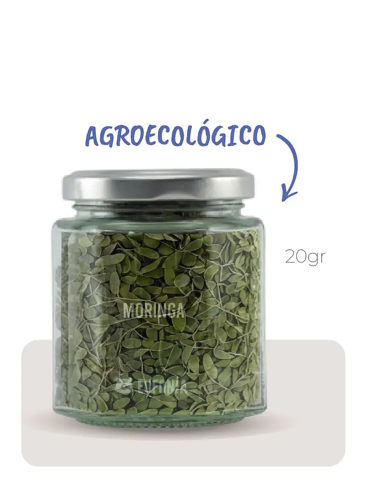 Moringa (Agroecológica)  2