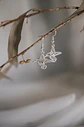 Aros Colibrí - Miniatura 2