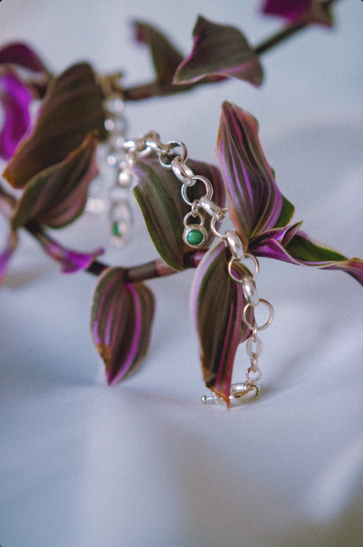 Pulsera Halo 5