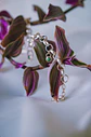 Pulsera Halo - Miniatura 5