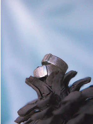 Anillo Awen
