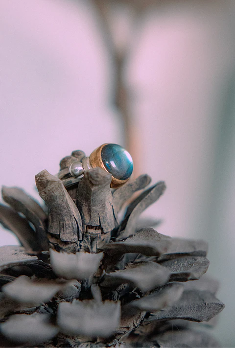 Anillo Varda