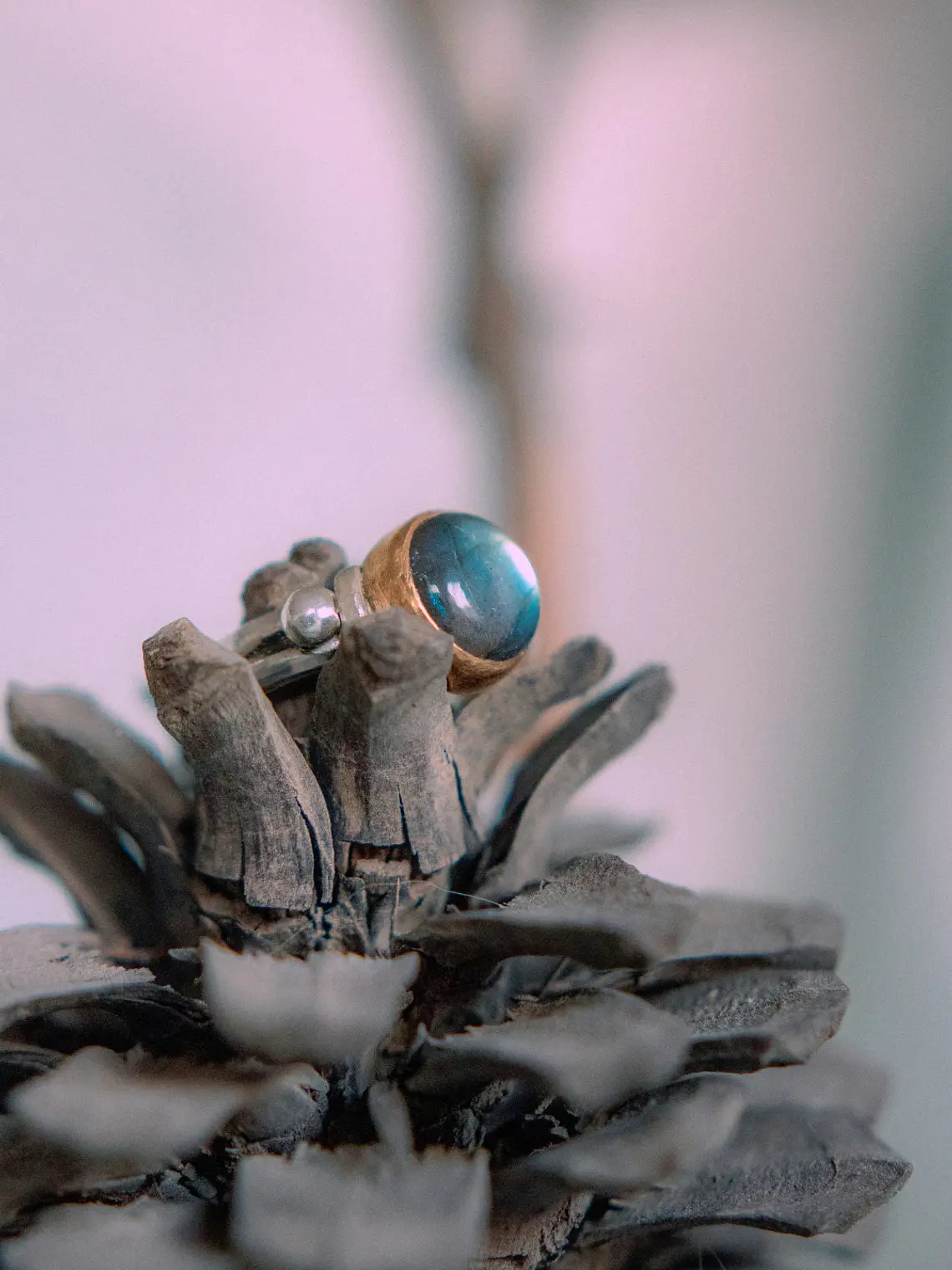 Anillo Varda 2