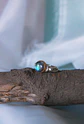 Anillo Varda - Miniatura 3