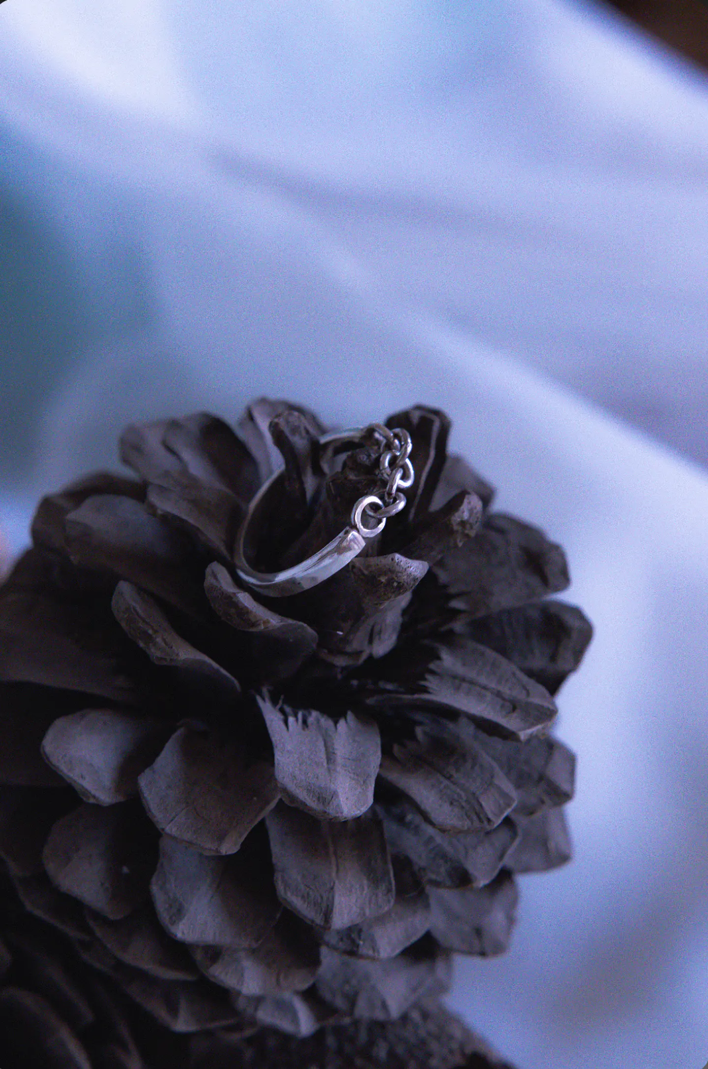 Anillo Liora 2
