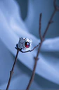 Anillo Moira - Miniatura 4