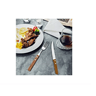 Set 12 Cuchillos Mesa Con Diente Y Mago De Madera 3