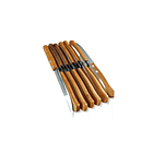 Set 12 Cuchillos Mesa Con Diente Y Mago De Madera 5