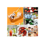 Bandejas Cubitos De Hielo Tapa , Contenedor  Y Cuchara 9