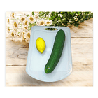 Tabla De Cortar Y Picar De Cocina Plástico  5