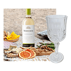 Set 6 Copas Vino, Coctel & Champagne. 6