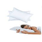 Almohada Poliéster Premium Blanca 1