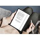 El Camino de Emprendedor a Empresario 2