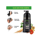 Shampoo Colorante Tinte Rápido Canas 400 Ml Black 3