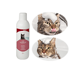 Shampoo Para Gatos 1l 5