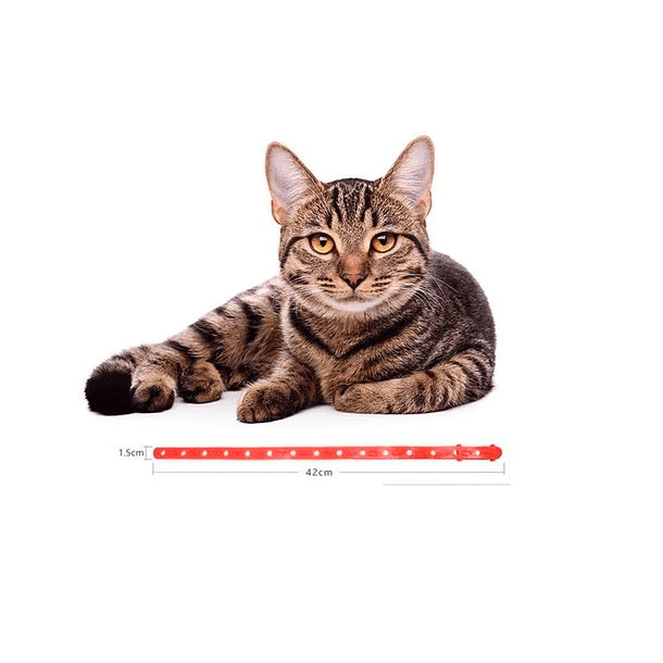 Collar Anti Pulgas Repelente Garrapatas Gatos Collar 3