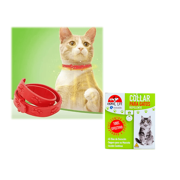 Collar Anti Pulgas Repelente Garrapatas Gatos Collar 4