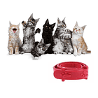 Collar Anti Pulgas Repelente Garrapatas Gatos Collar 5