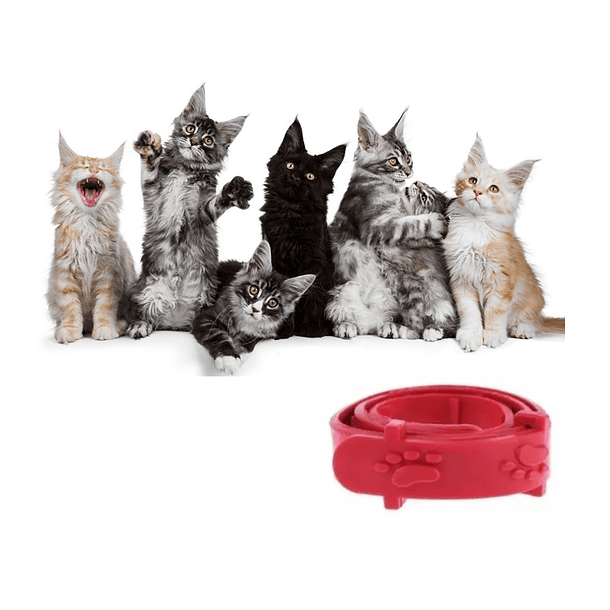 Collar Anti Pulgas Repelente Garrapatas Gatos Collar 5