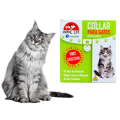 Collar Anti Pulgas Repelente Garrapatas Gatos Collar
