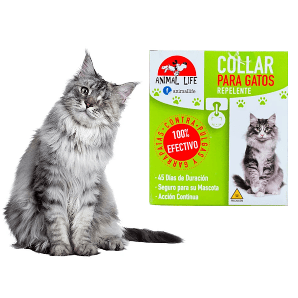 Collar Anti Pulgas Repelente Garrapatas Gatos Collar 1