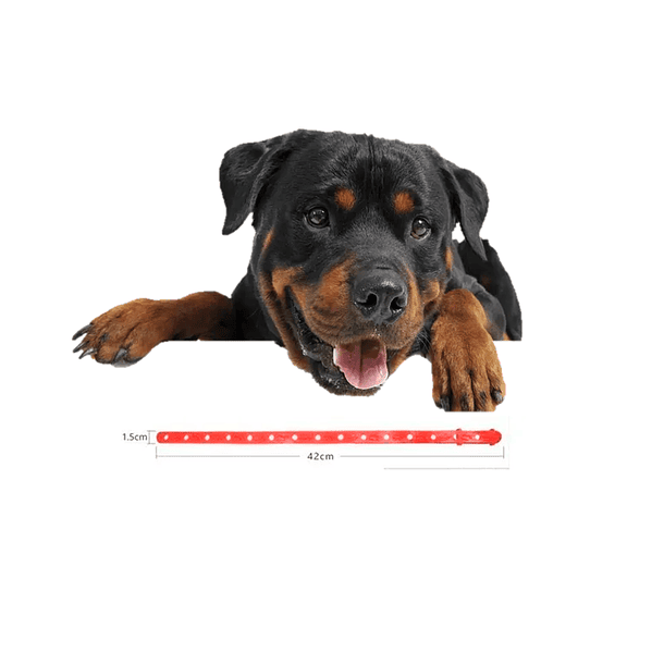 Collar Anti Pulgas Repelente Garrapatas Perros Toda Raza 1