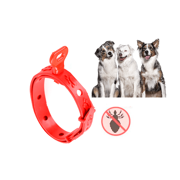 Collar Anti Pulgas Repelente Garrapatas Perros Toda Raza 3