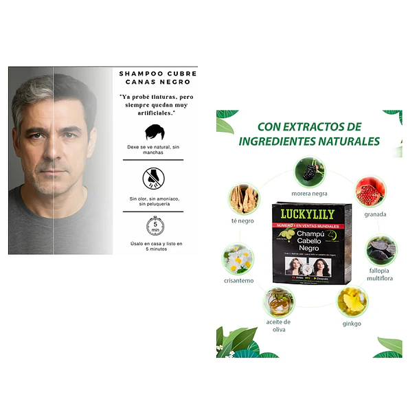 Shampoo Con Tinte Negro 10 Sachets De 25ml C/u 3