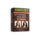 Shampoo Con Tinte Castaño 10 Sachets De 25ml C/u-  1