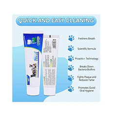 Kit Aseo Dental Para Perros Y Gatos Con Pasta Y Cepillos