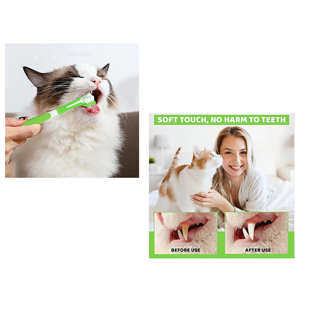 Kit Aseo Dental Para Perros Y Gatos Con Pasta Y Cepillos 6