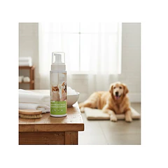 Shampoo En Espuma Sin Agua Para Perros Y Gatos
