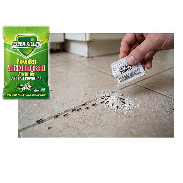 Pack 50pcs Cebo Para Hormigas 3
