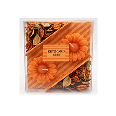Pack 2 Vela Decorativa Diseño.